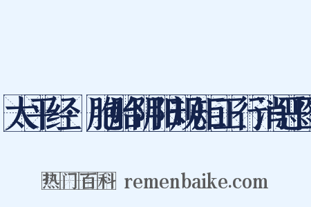 太平经·胞胎阴阳规矩正行消恶图是什么意思的图片
